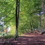 Steewer Gemuetliche Bis 6 Pers In Ruhiger Ortsrandlage * Stebach
