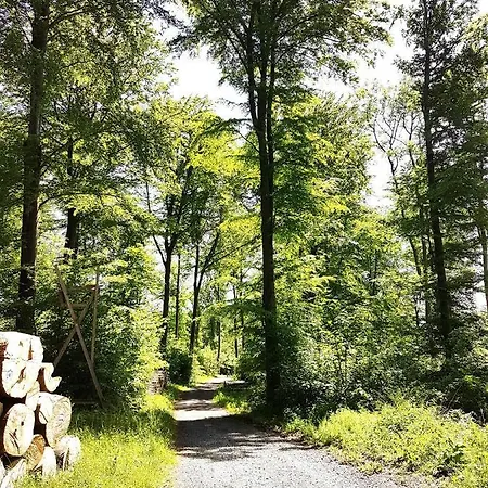 Steewer Gemuetliche Bis 6 Pers In Ruhiger Ortsrandlage Apartment Stebach