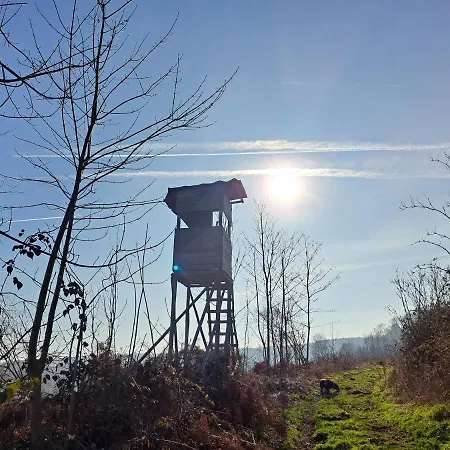 Steewer Gemuetliche Bis 6 Pers In Ruhiger Ortsrandlage Apartment