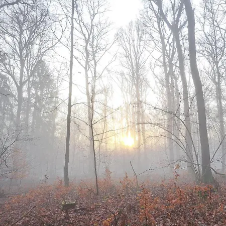 Steewer Gemuetliche Bis 6 Pers In Ruhiger Ortsrandlage Stebach