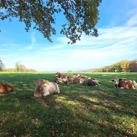 Steewer Gemuetliche Bis 6 Pers In Ruhiger Ortsrandlage Apartment Stebach