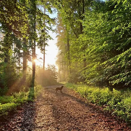 Steewer Gemuetliche Bis 6 Pers In Ruhiger Ortsrandlage Stebach