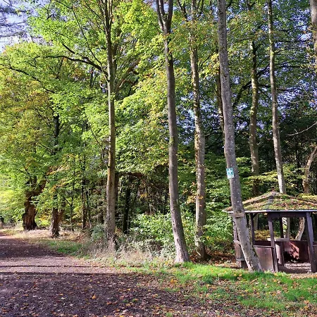 Steewer Gemuetliche Bis 6 Pers In Ruhiger Ortsrandlage