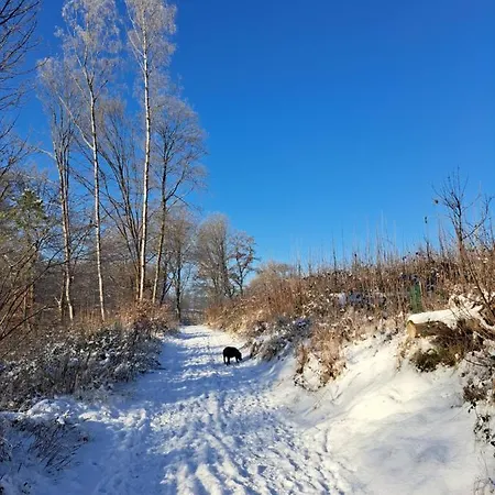 Apartment Steewer Gemuetliche Bis 6 Pers In Ruhiger Ortsrandlage Stebach
