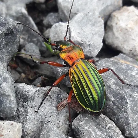 Steewer Gemuetliche Bis 6 Pers In Ruhiger Ortsrandlage Stebach