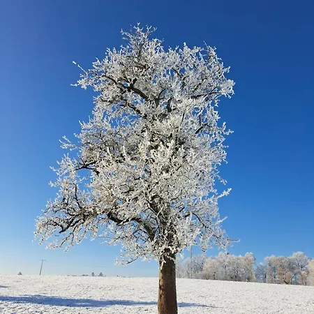 Steewer Gemuetliche Bis 6 Pers In Ruhiger Ortsrandlage Apartment Stebach