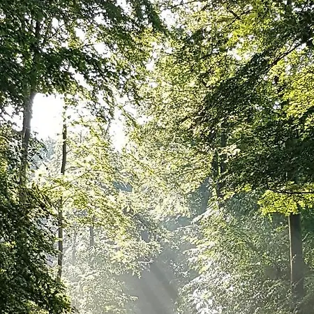 Steewer Gemuetliche Bis 6 Pers In Ruhiger Ortsrandlage Apartment