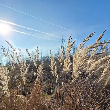 Steewer Gemuetliche Bis 6 Pers In Ruhiger Ortsrandlage *