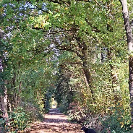 Steewer Gemuetliche Bis 6 Pers In Ruhiger Ortsrandlage