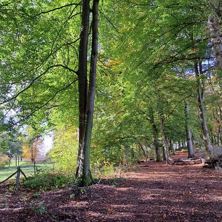 Steewer Gemuetliche Bis 6 Pers In Ruhiger Ortsrandlage * Stebach