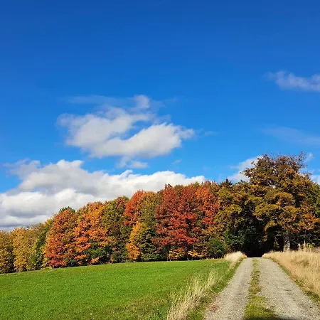Steewer Gemuetliche Bis 6 Pers In Ruhiger Ortsrandlage Apartment