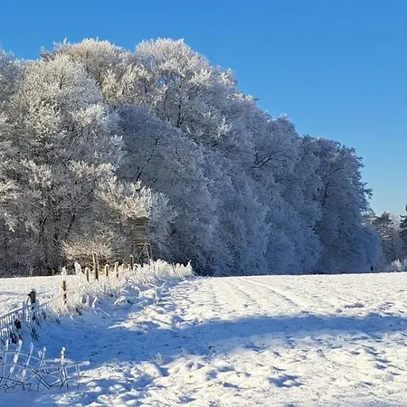 Steewer Gemuetliche Bis 6 Pers In Ruhiger Ortsrandlage Apartment *