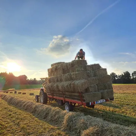 Steewer Gemuetliche Bis 6 Pers In Ruhiger Ortsrandlage