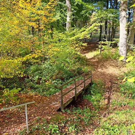 Steewer Gemuetliche Bis 6 Pers In Ruhiger Ortsrandlage Apartment Stebach