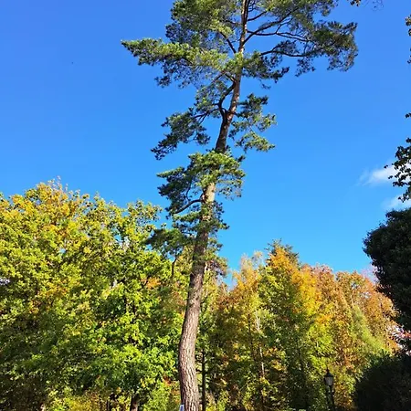 Steewer Gemuetliche Bis 6 Pers In Ruhiger Ortsrandlage Stebach