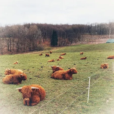 Apartment Steewer Gemuetliche Bis 6 Pers In Ruhiger Ortsrandlage Stebach