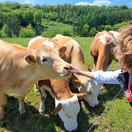 Steewer Gemuetliche Bis 6 Pers In Ruhiger Ortsrandlage