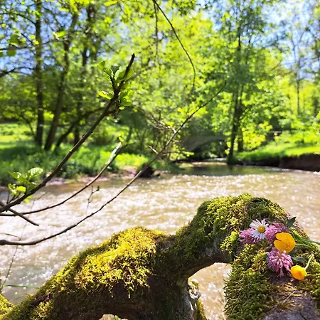 Steewer Gemuetliche Bis 6 Pers In Ruhiger Ortsrandlage