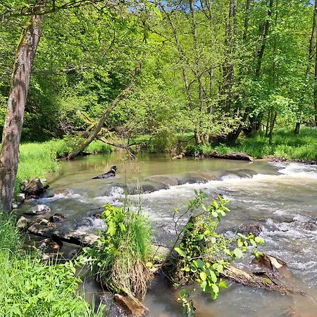 Apartment Steewer Gemuetliche Bis 6 Pers In Ruhiger Ortsrandlage