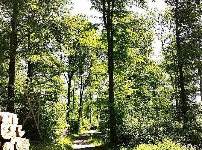 Steewer Gemuetliche Bis 6 Pers In Ruhiger Ortsrandlage Apartamento Stebach