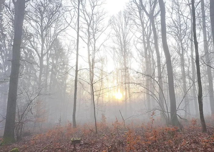 Steewer Gemuetliche Bis 6 Pers In Ruhiger Ortsrandlage Stebach