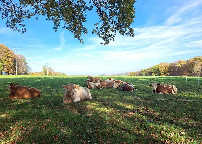 Steewer Gemütliche Bis 6 Pers In Ruhiger Ortsrandlage Apartment Stebach
