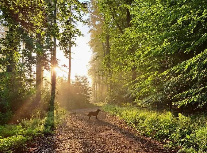 Steewer Gemuetliche Bis 6 Pers In Ruhiger Ortsrandlage Stebach