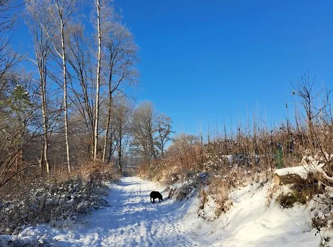 Apartamento Steewer Gemuetliche Bis 6 Pers In Ruhiger Ortsrandlage Stebach