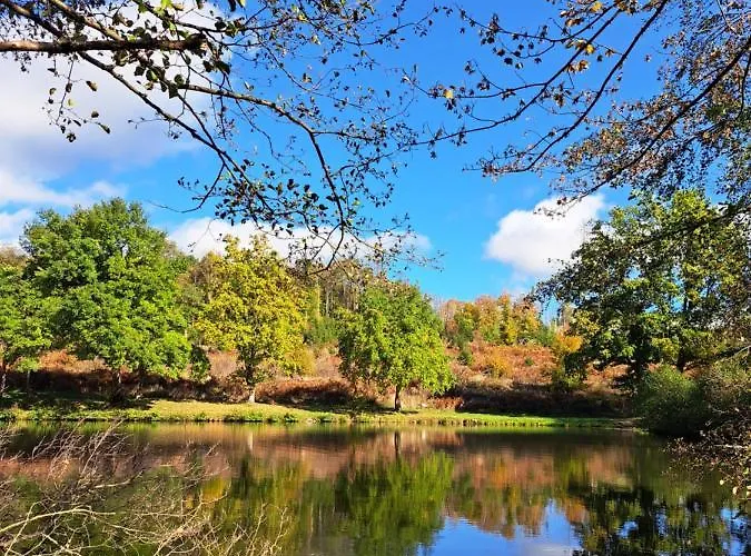 Steewer Gemütliche Bis 6 Pers In Ruhiger Ortsrandlage Stebach
