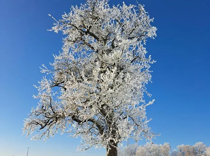 Steewer Gemuetliche Bis 6 Pers In Ruhiger Ortsrandlage Apartamento Stebach