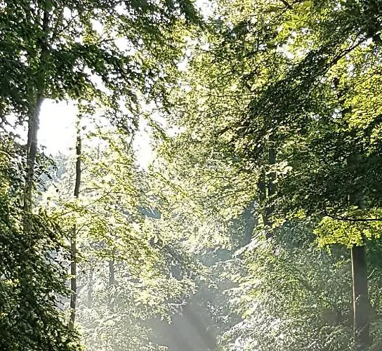 Steewer Gemütliche Bis 6 Pers In Ruhiger Ortsrandlage Apartment