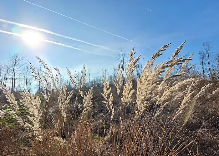 Steewer Gemütliche Bis 6 Pers In Ruhiger Ortsrandlage *