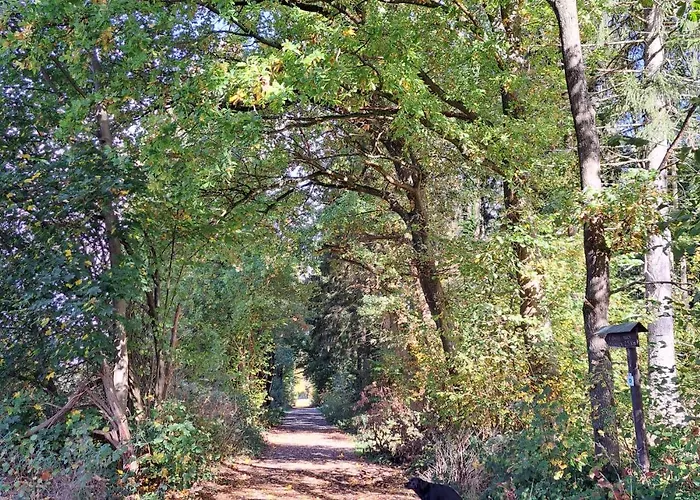 Steewer Gemütliche Bis 6 Pers In Ruhiger Ortsrandlage