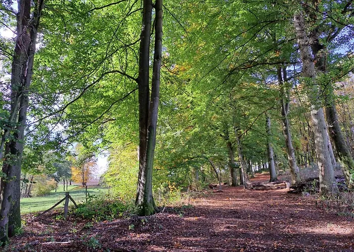 Steewer Gemuetliche Bis 6 Pers In Ruhiger Ortsrandlage * Stebach