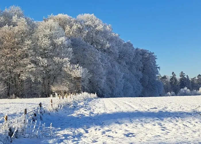 Steewer Gemütliche Bis 6 Pers In Ruhiger Ortsrandlage Apartment *
