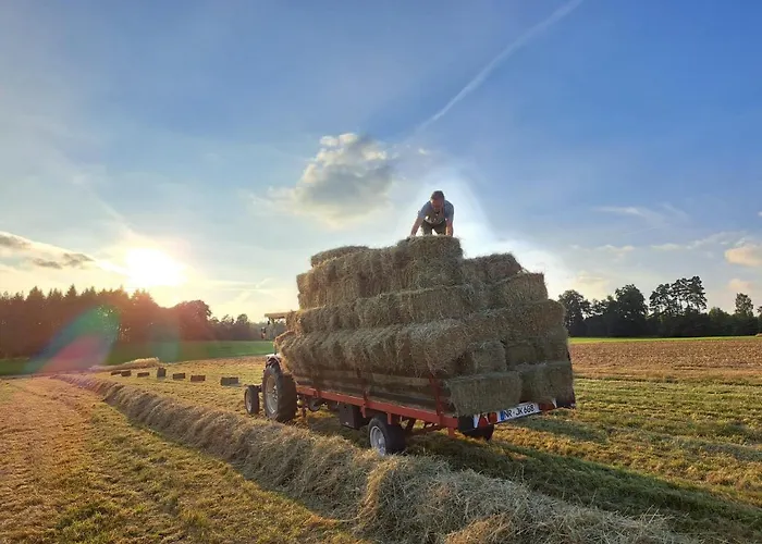 Steewer Gemütliche Bis 6 Pers In Ruhiger Ortsrandlage