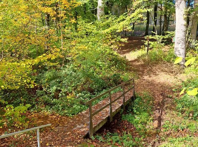 Steewer Gemütliche Bis 6 Pers In Ruhiger Ortsrandlage Apartment Stebach
