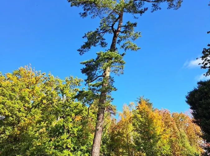 Steewer Gemütliche Bis 6 Pers In Ruhiger Ortsrandlage Stebach