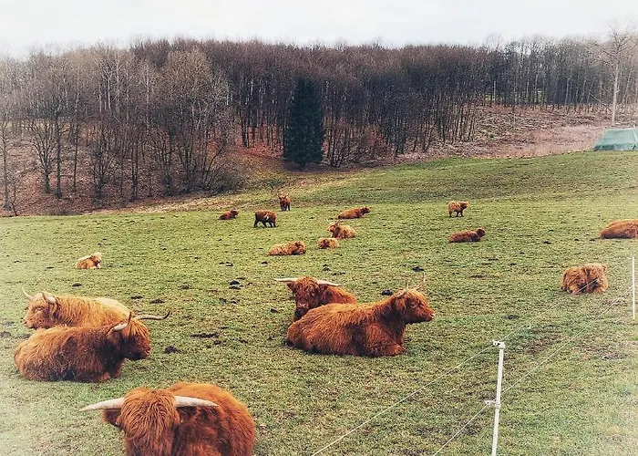 Apartment Steewer Gemütliche Bis 6 Pers In Ruhiger Ortsrandlage Stebach