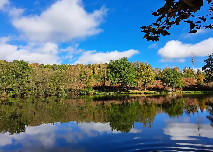 Steewer Gemuetliche Bis 6 Pers In Ruhiger Ortsrandlage Apartamento *