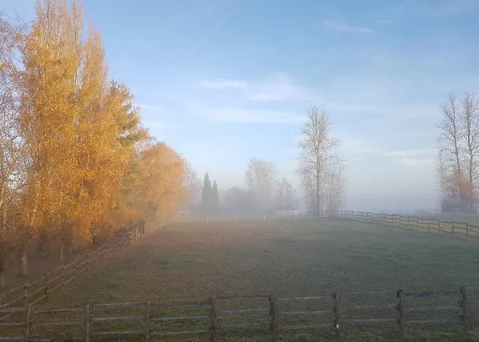 Apartamento Steewer Gemuetliche Bis 6 Pers In Ruhiger Ortsrandlage Stebach