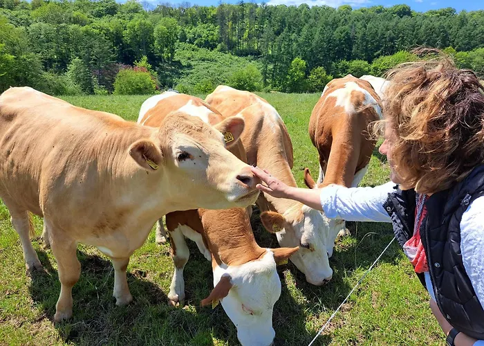 Steewer Gemütliche Bis 6 Pers In Ruhiger Ortsrandlage