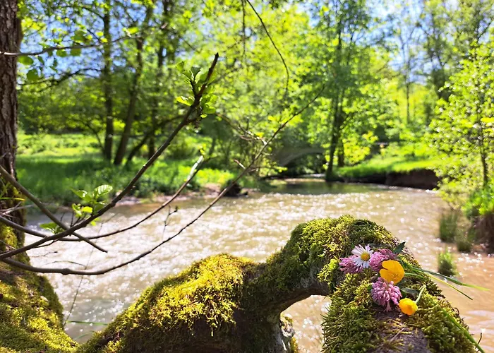 Steewer Gemütliche Bis 6 Pers In Ruhiger Ortsrandlage