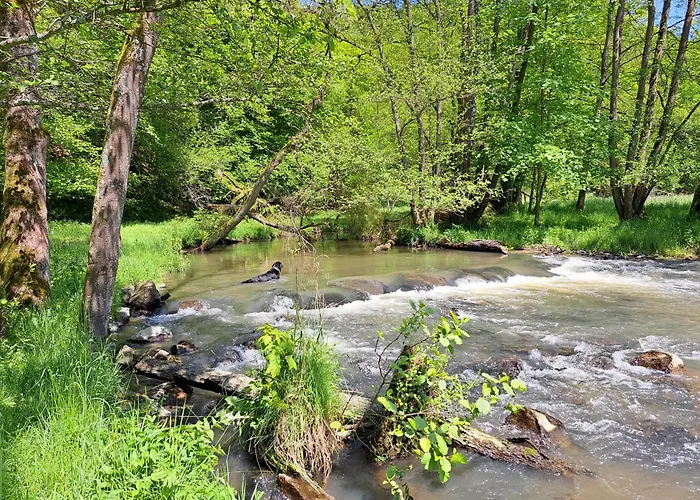 Apartment Steewer Gemütliche Bis 6 Pers In Ruhiger Ortsrandlage